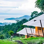 Kaura Bali