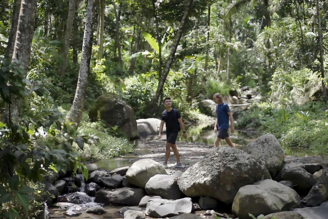 Kaura Bali Ubud