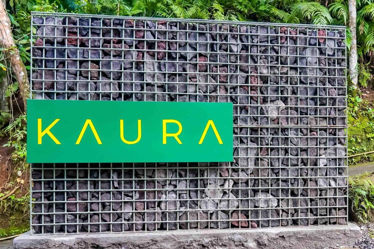 Kaura Bali