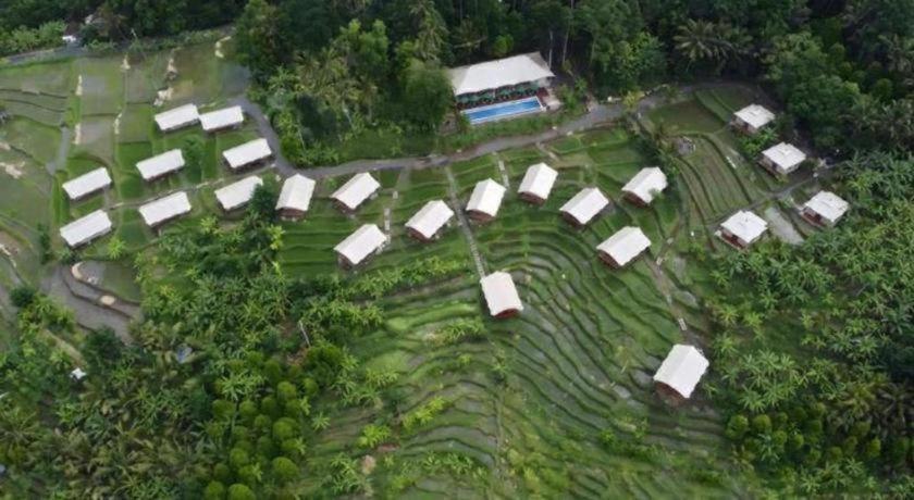Kaura Bali 4* Ubud