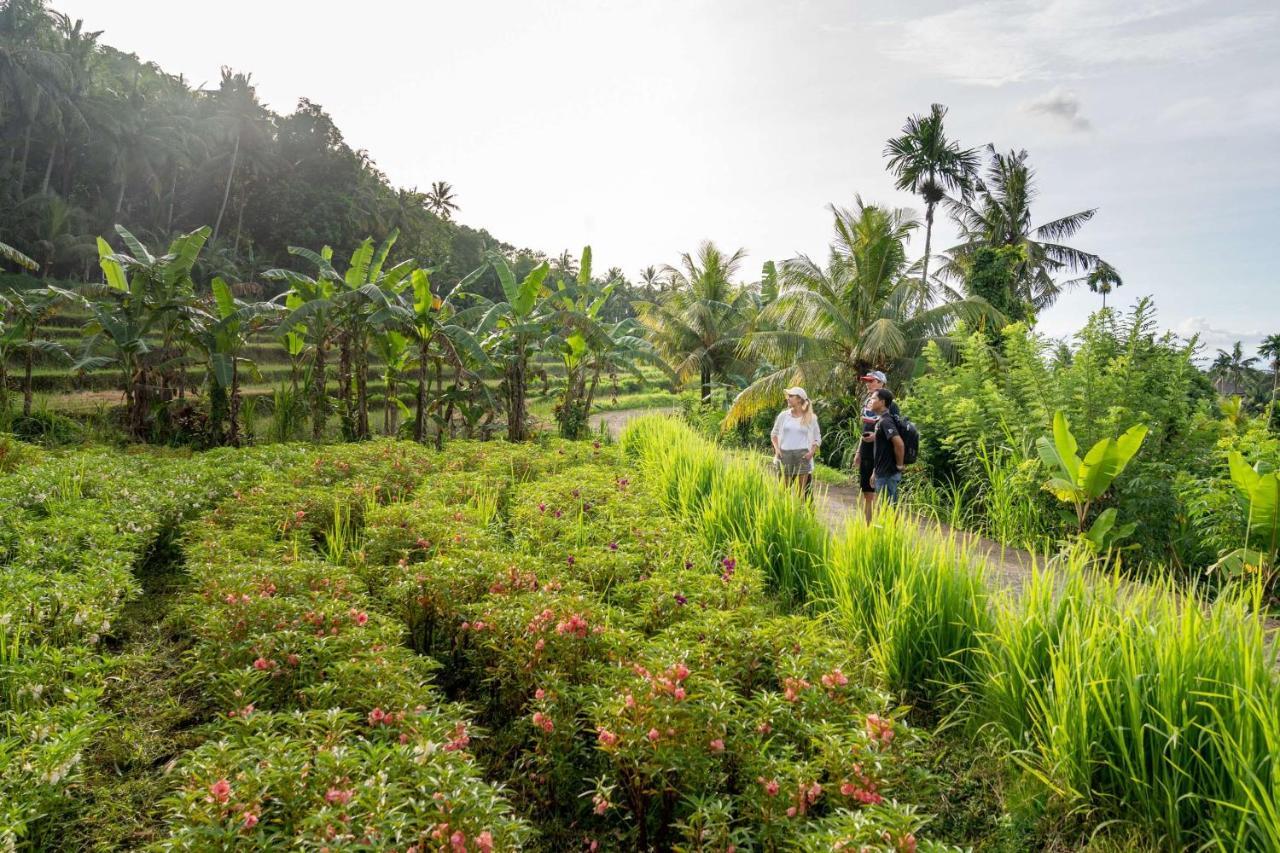 Glamping Kaura Bali 4*