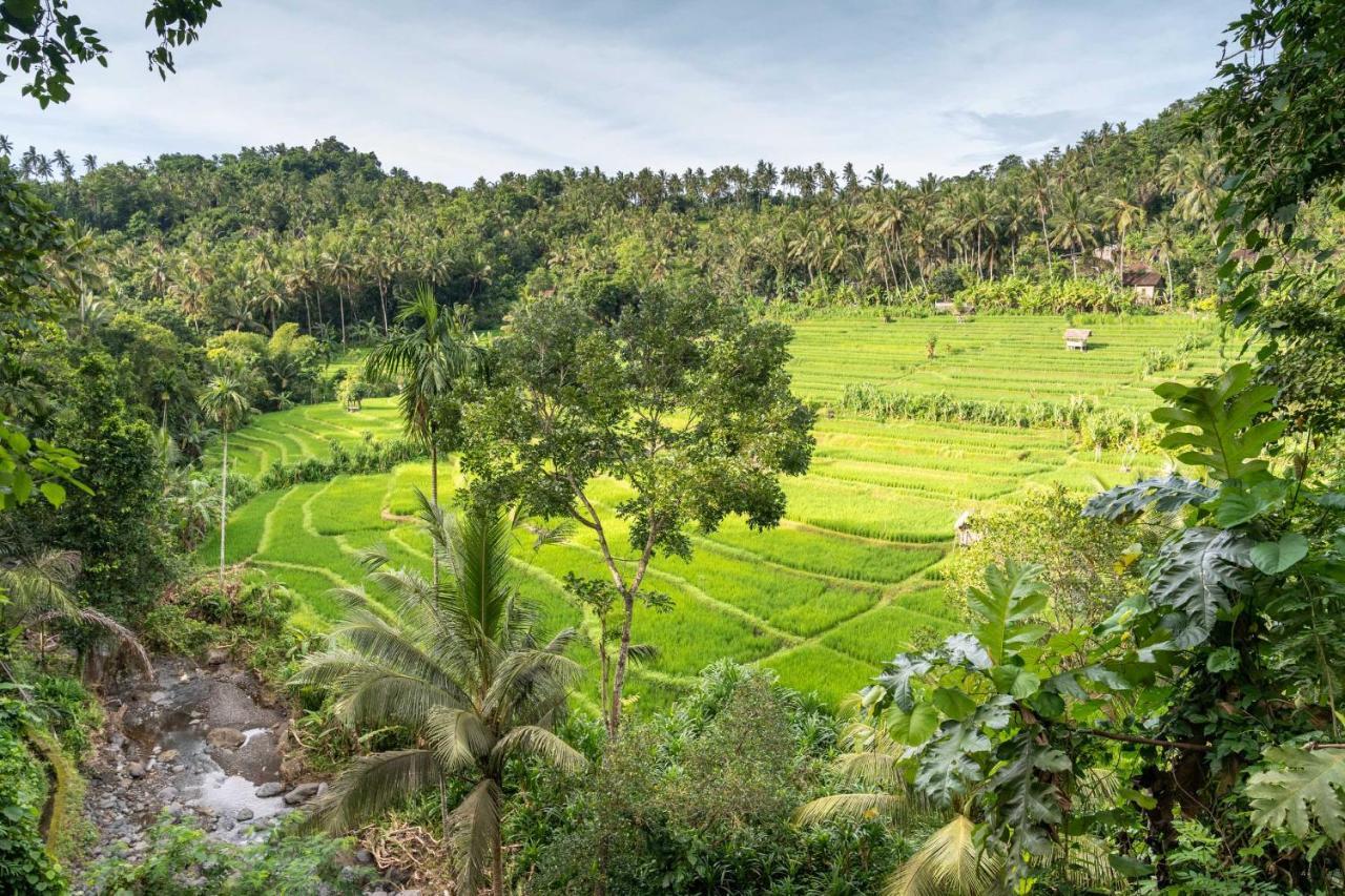 Glamping Kaura Bali